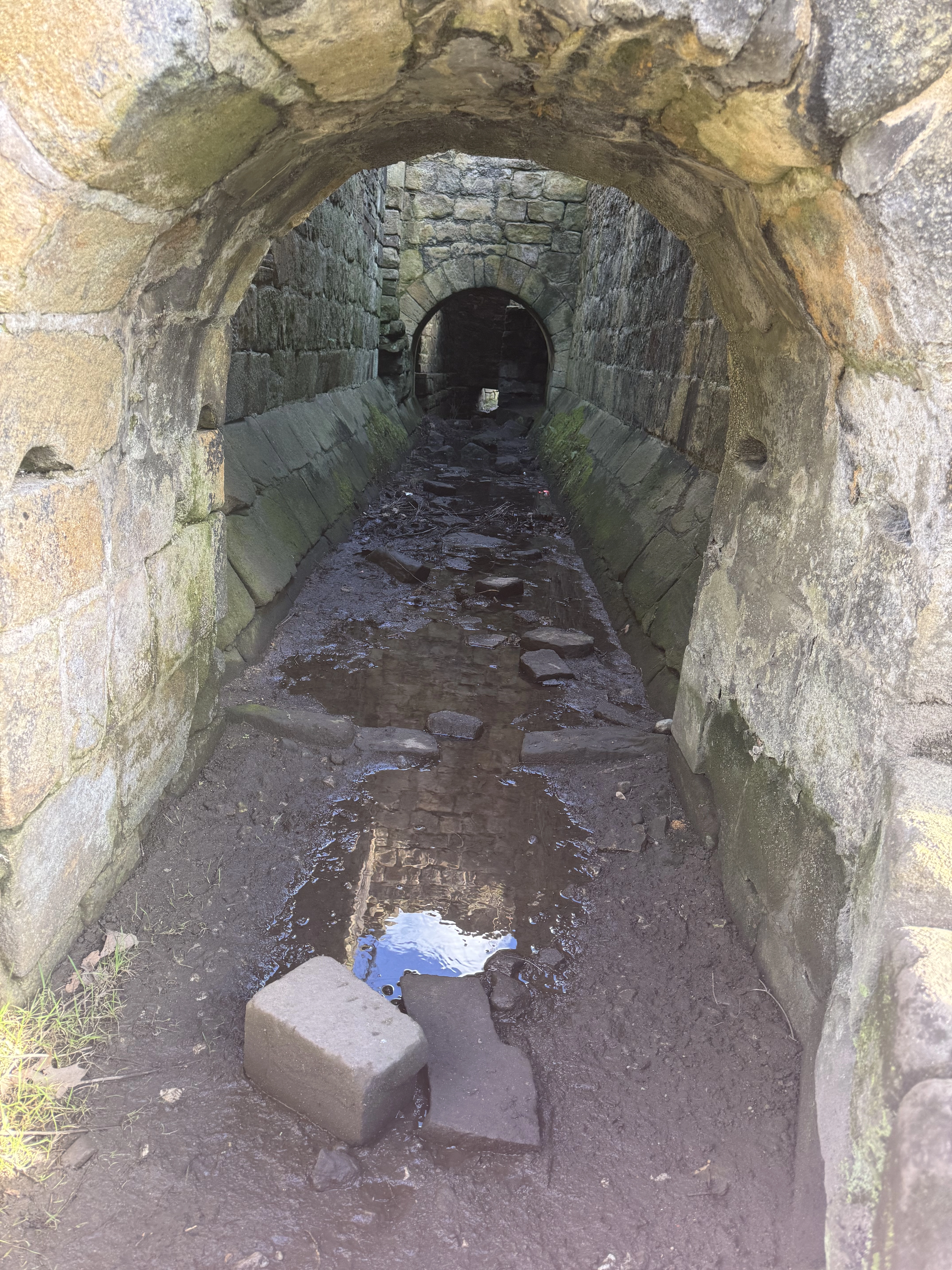 Photography by AshiePleb - Image 117