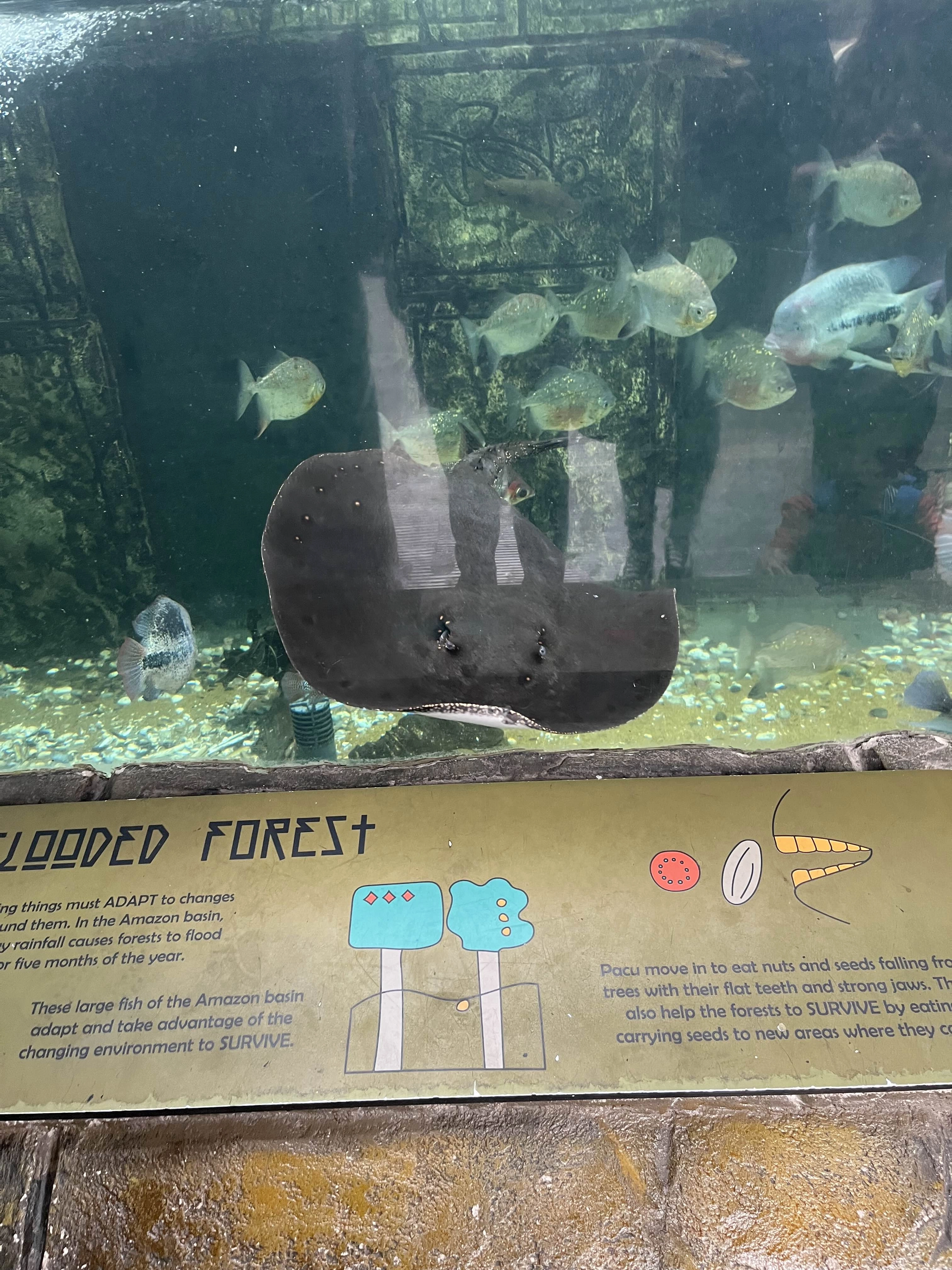 Photography by AshiePleb - Image 23