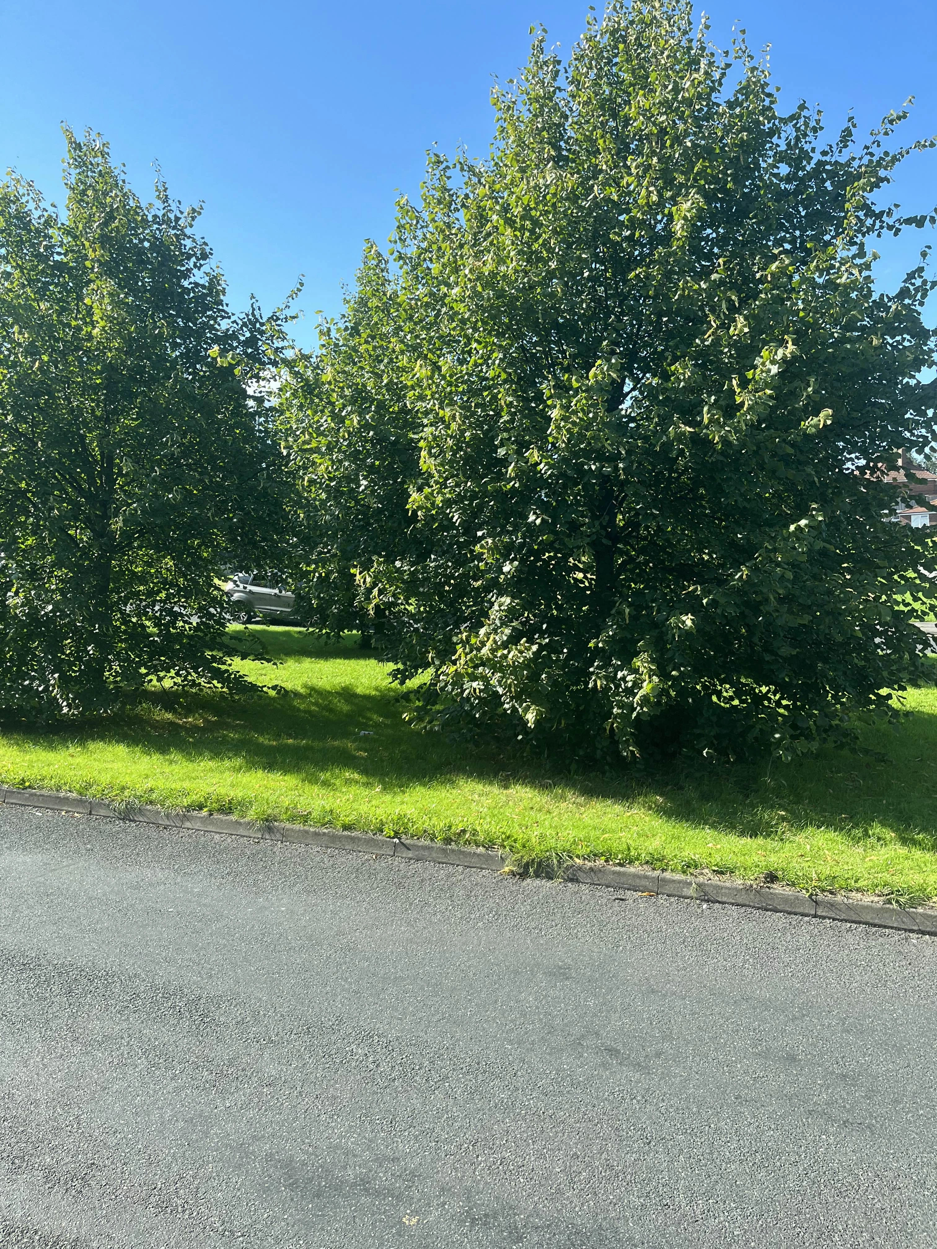 Photography by AshiePleb - Image 24