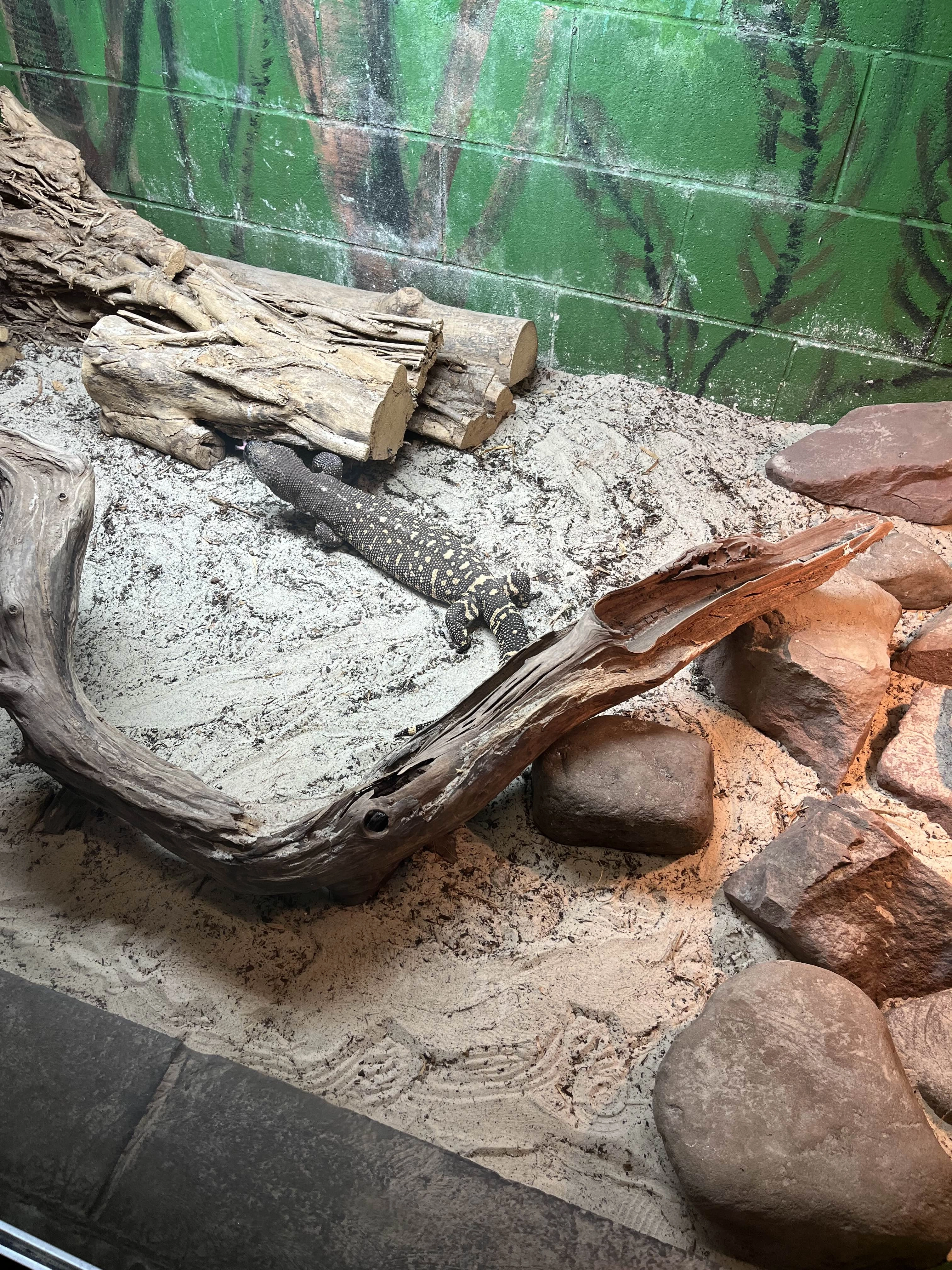 Photography by AshiePleb - Image 34