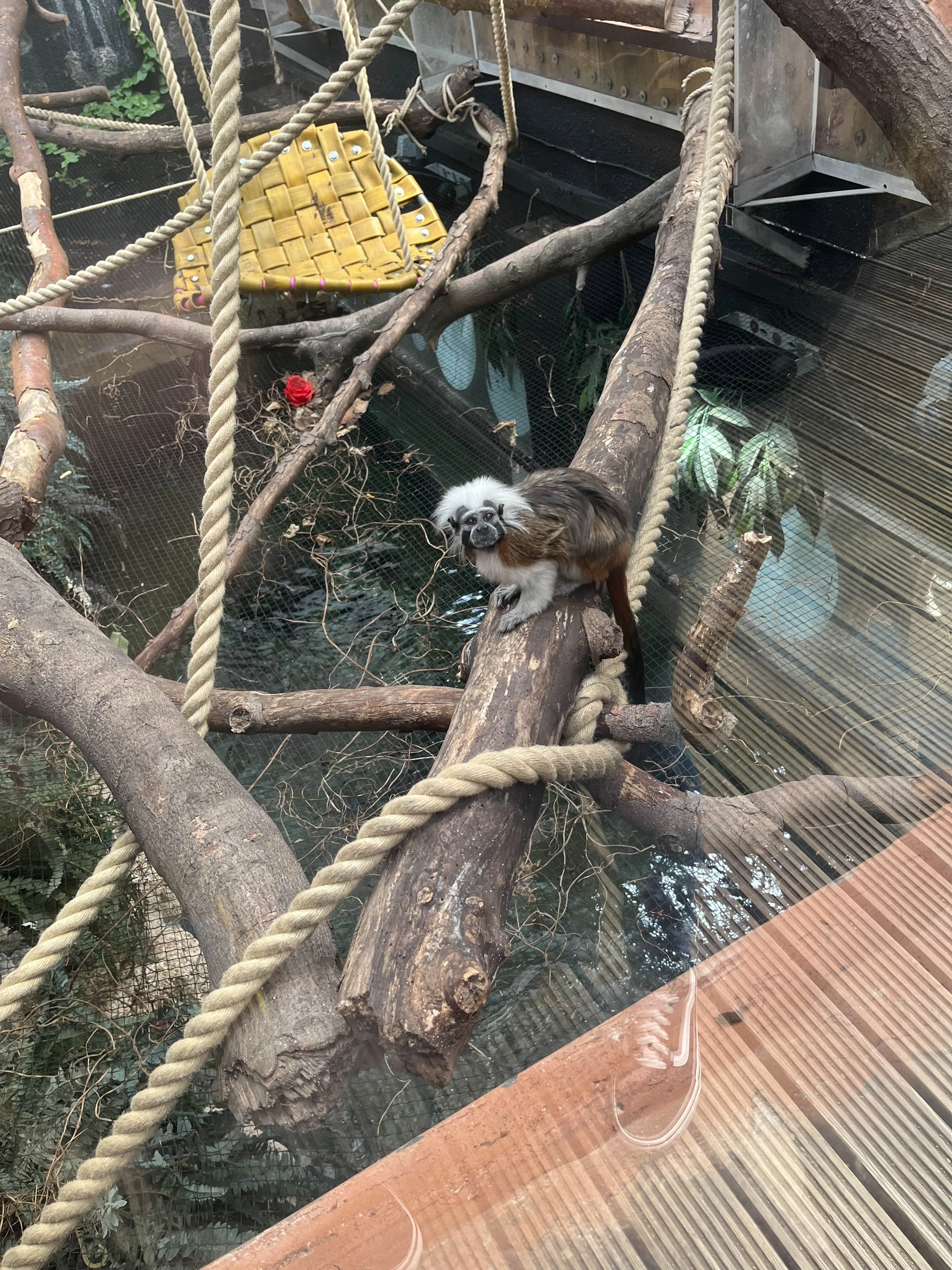 Photography by AshiePleb - Image 37