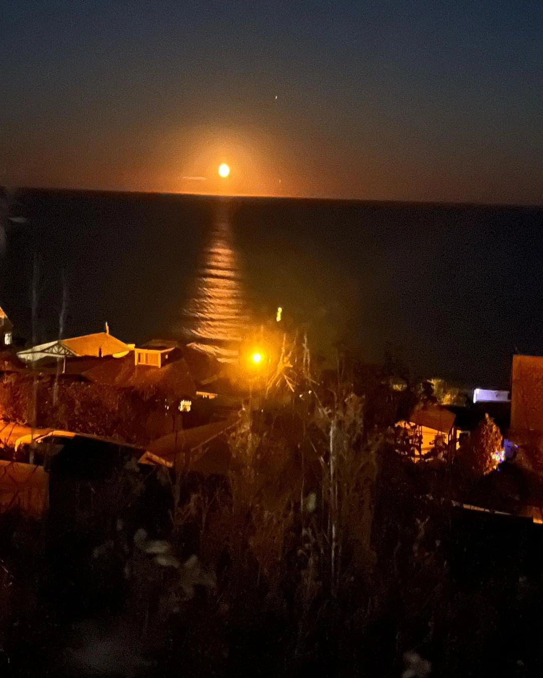 Photography by AshiePleb - Image 38