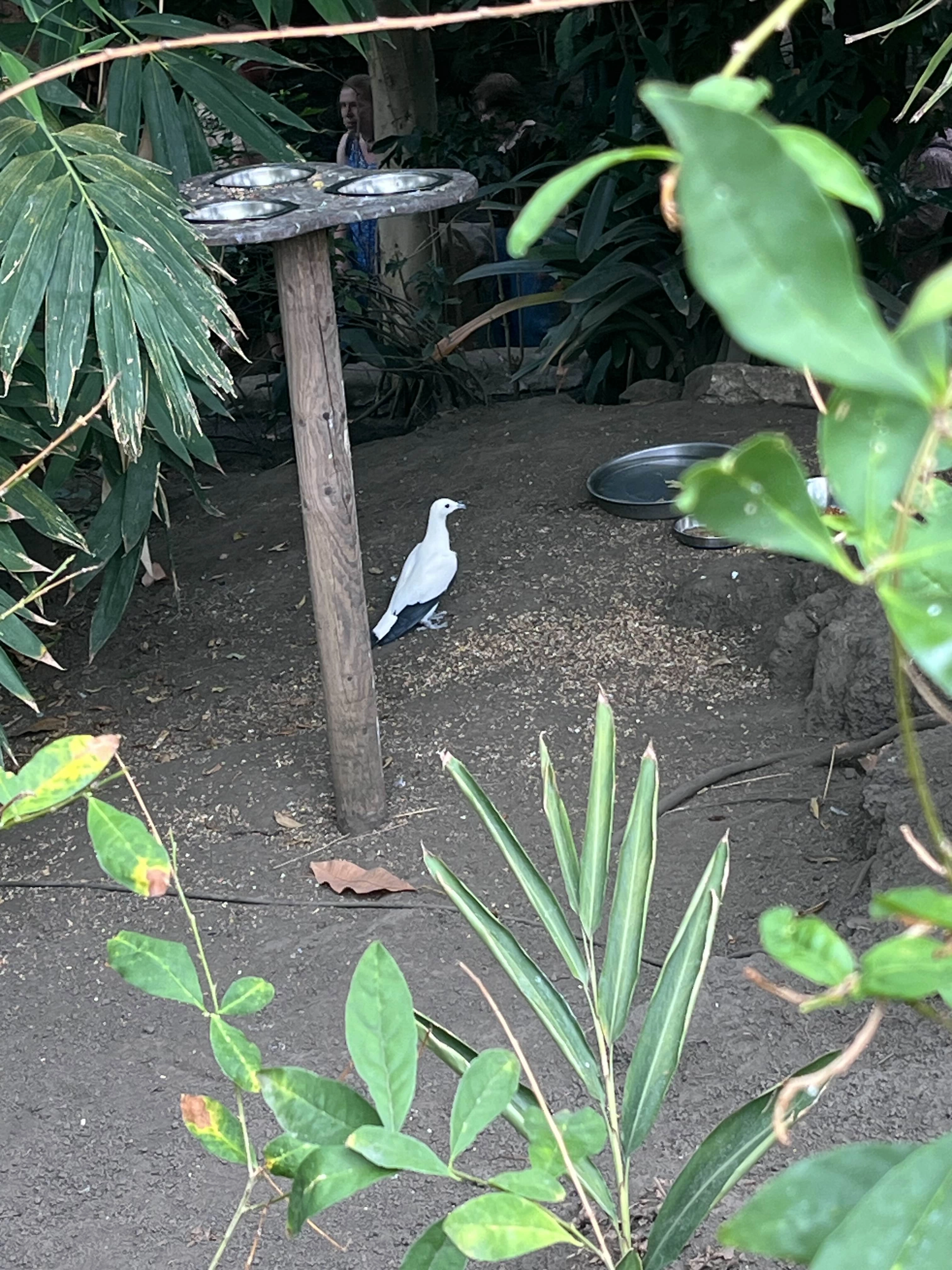 Photography by AshiePleb - Image 46