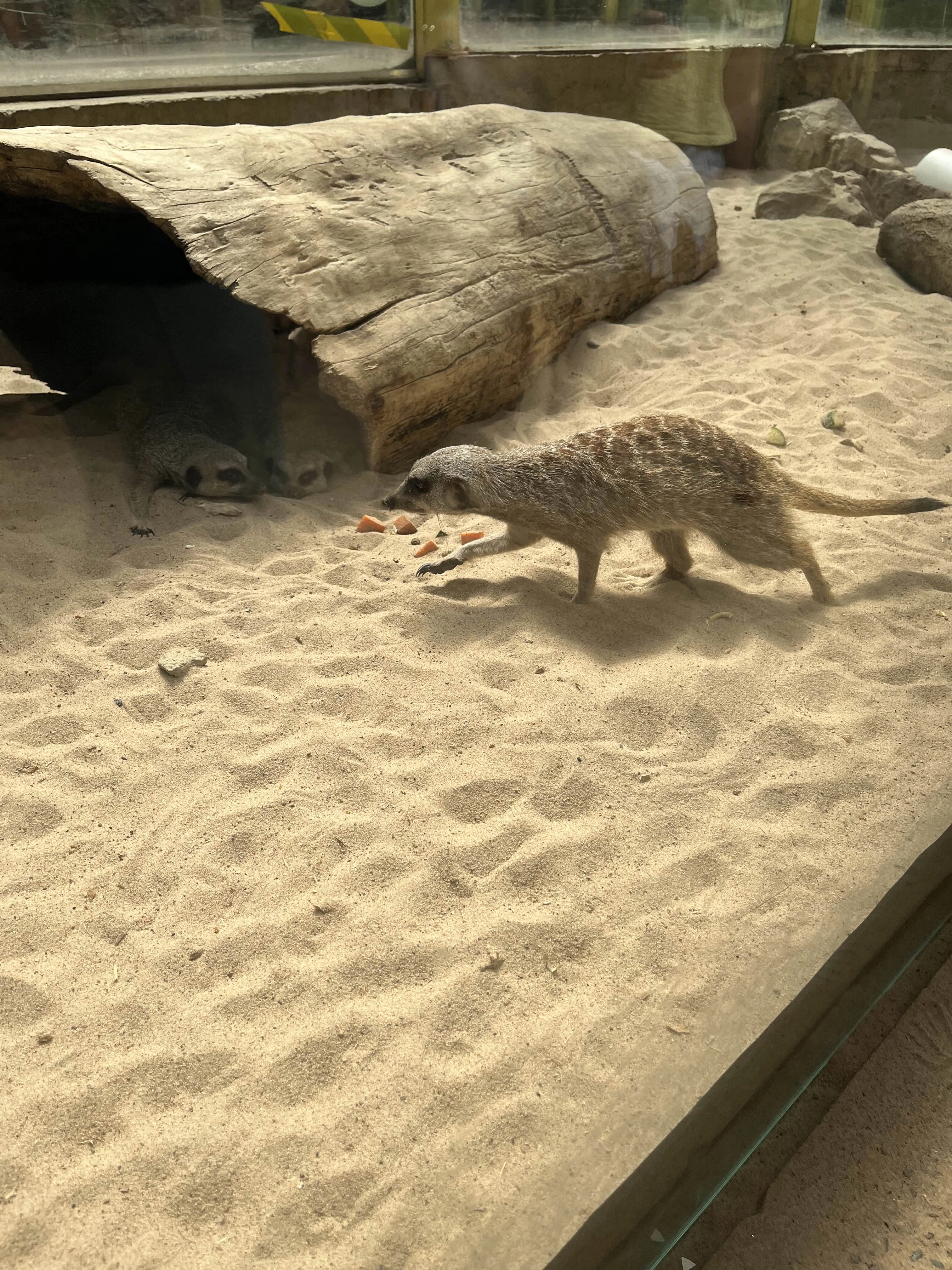 Photography by AshiePleb - Image 54