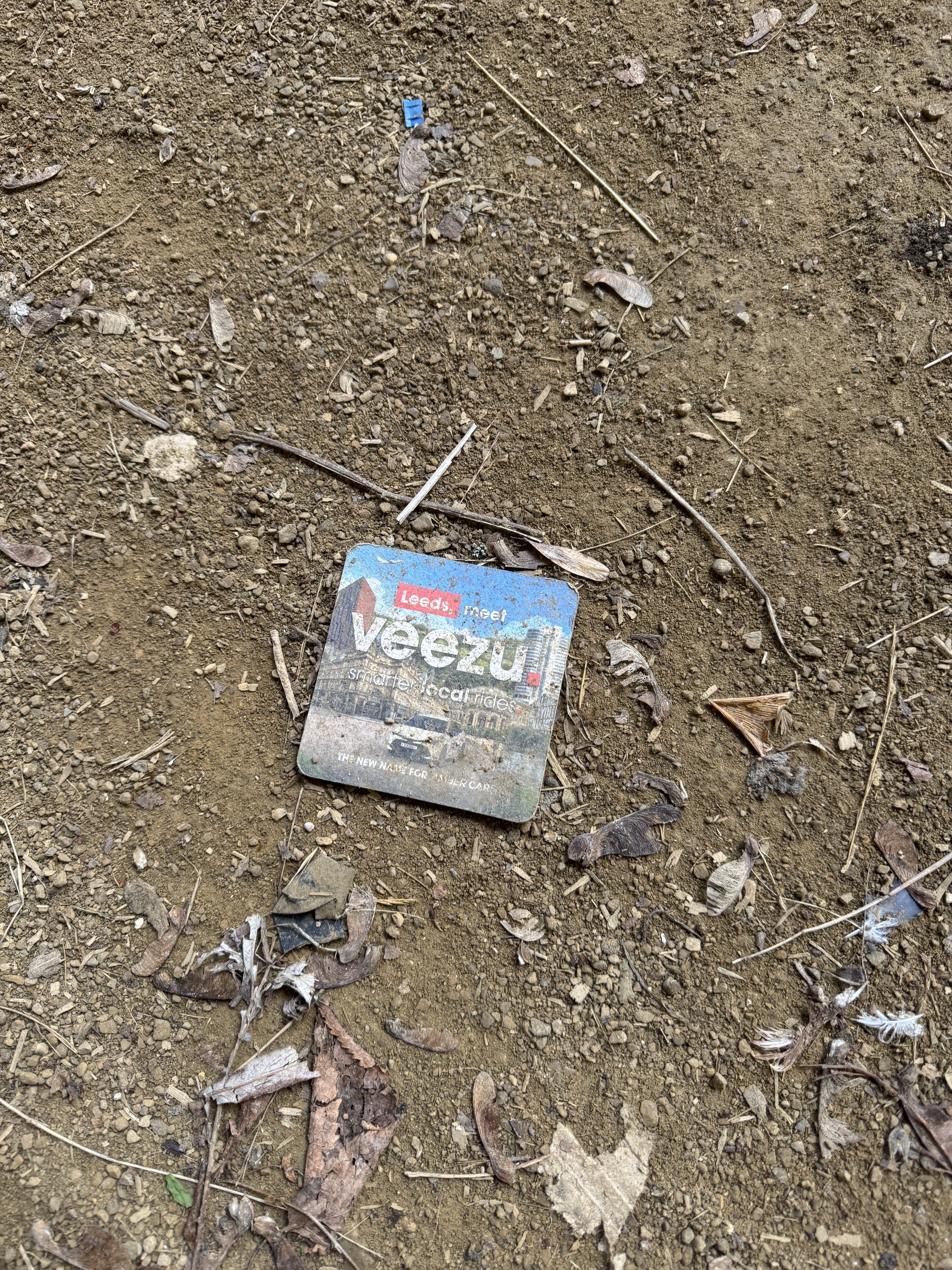 Photography by AshiePleb - Image 80