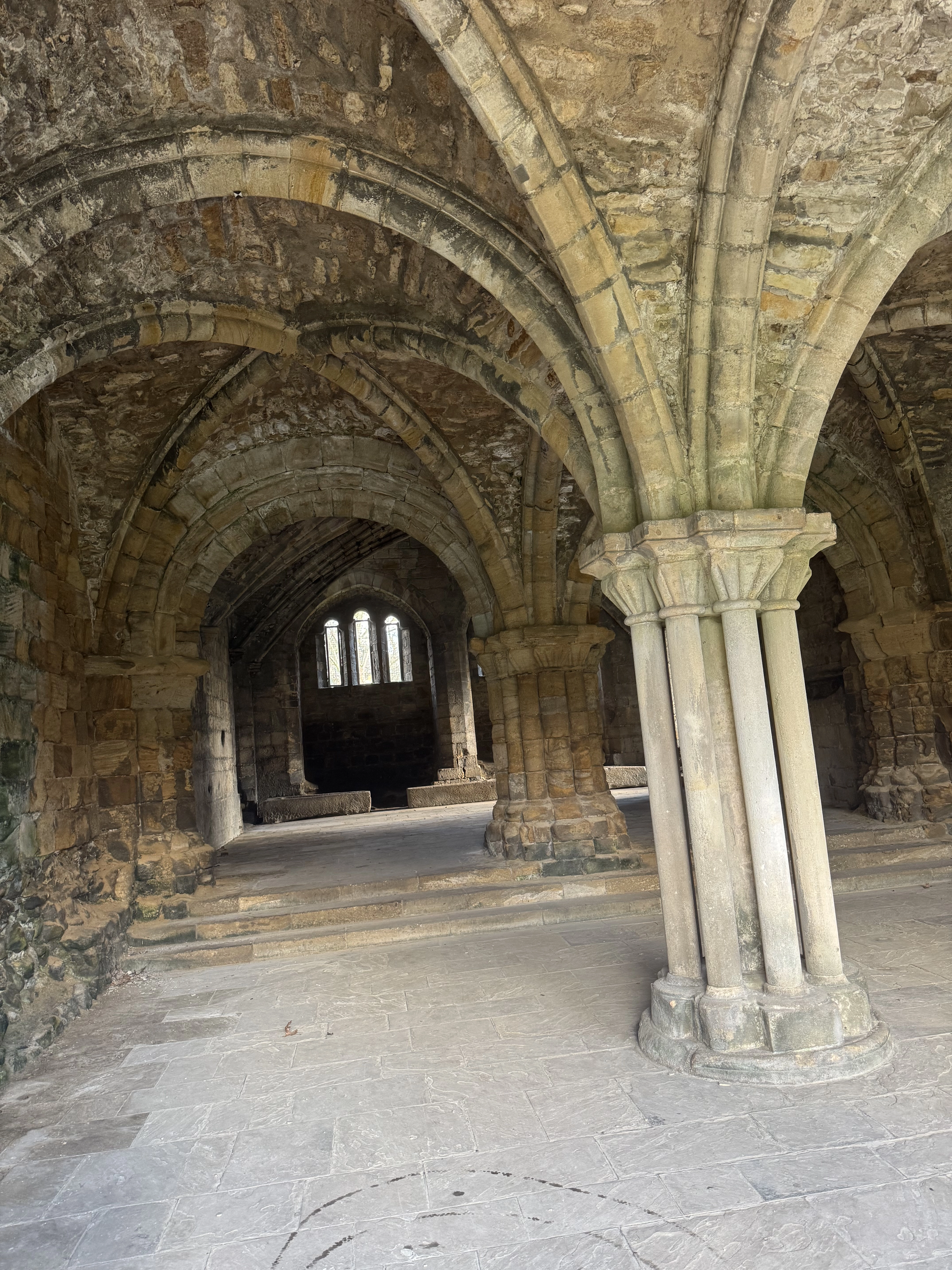 Photography by AshiePleb - Image 85