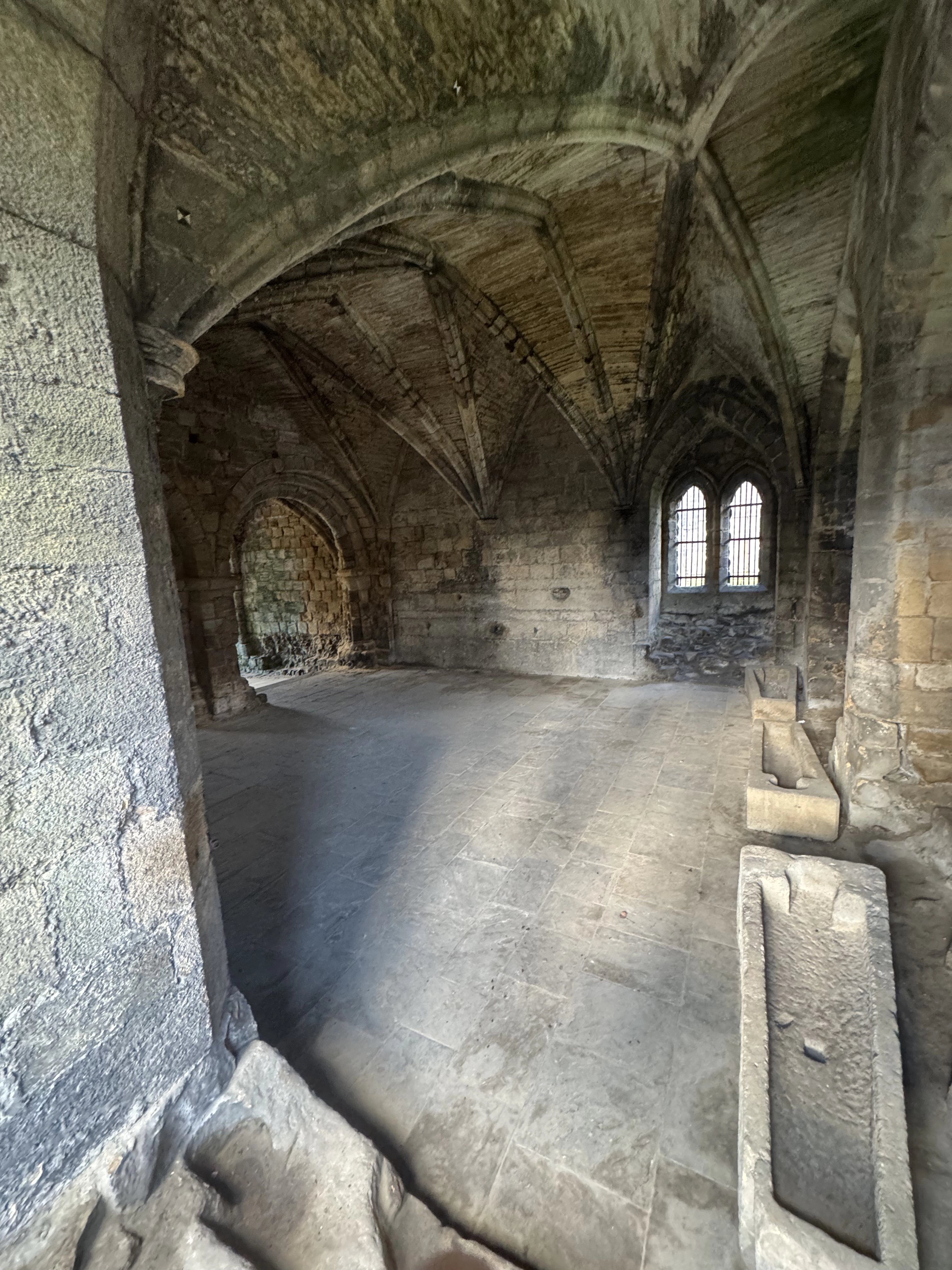 Photography by AshiePleb - Image 87