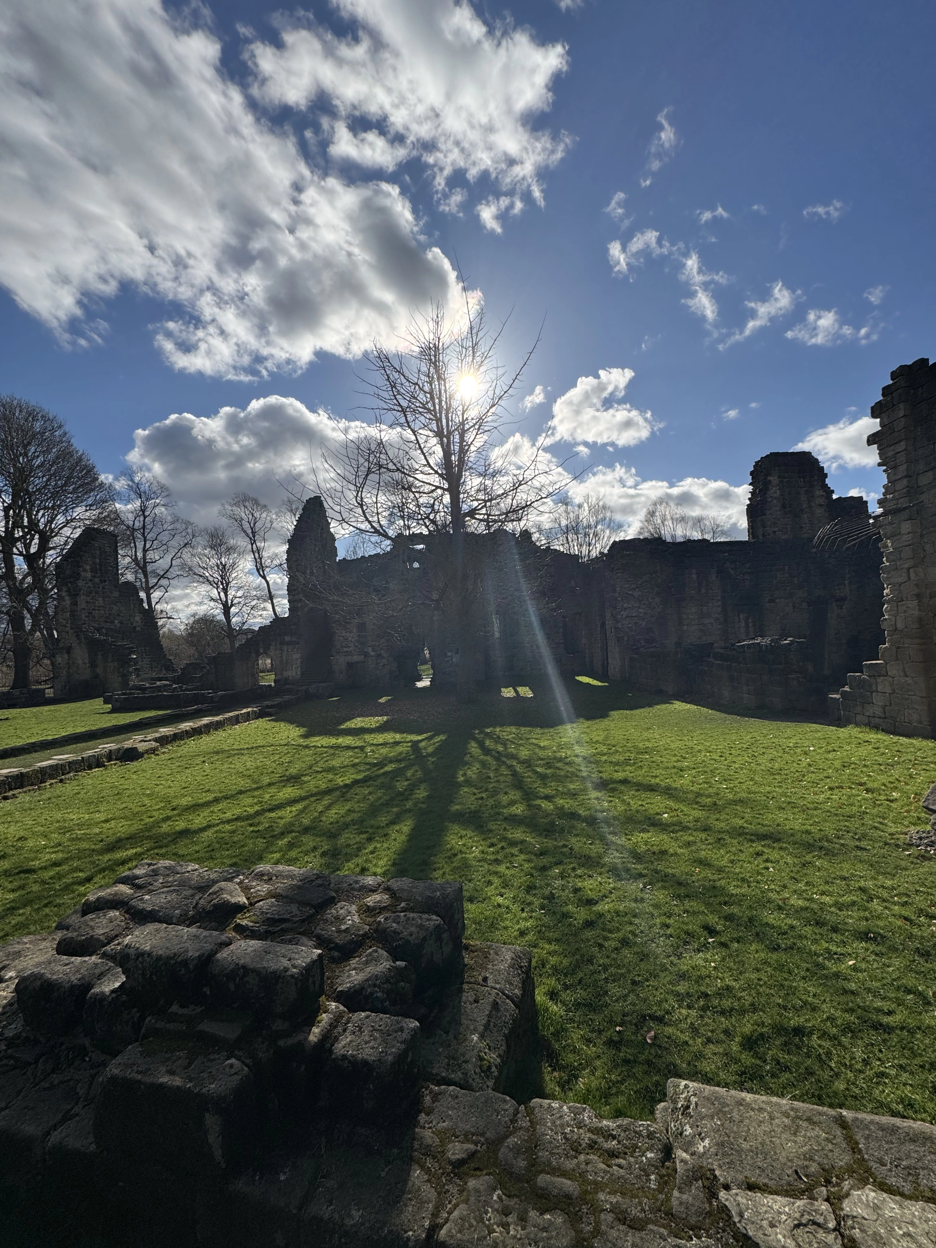 Photography by AshiePleb - Image 94